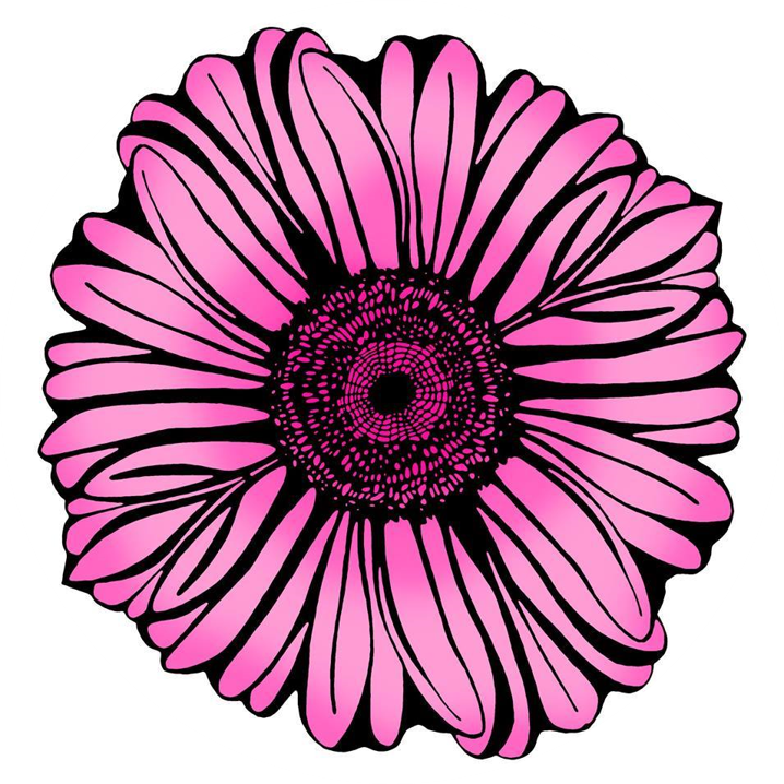 gerbera